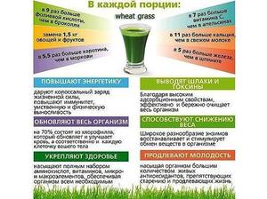 Лечебные свойства пшеничного сока