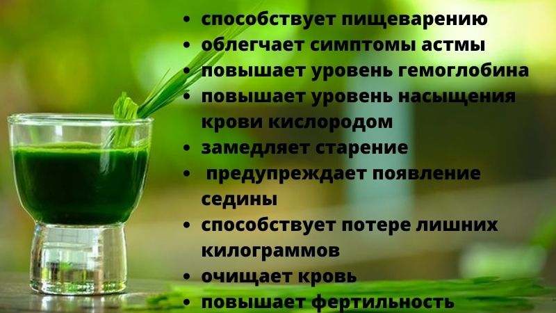 преимущества витграсса