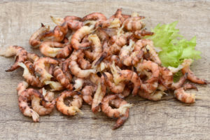 Польза и вред консервированного мяса криля