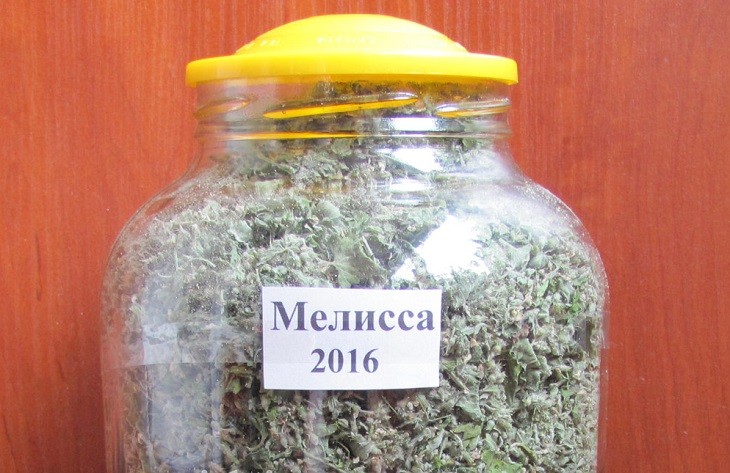 Консервация мелиссы