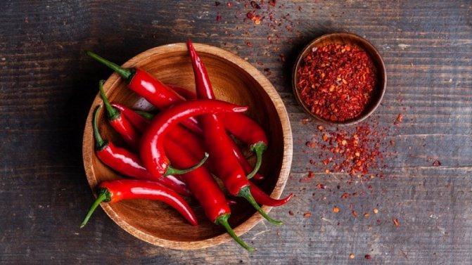 Польза кайенского перца для здоровья и как его правильно выращивать