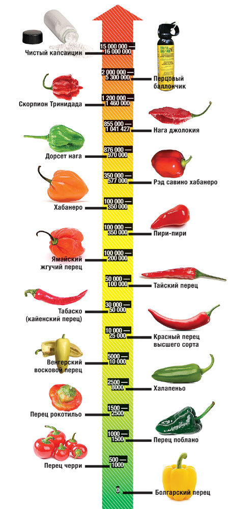 Все о кайенском перце: что это такое, применение в кулинарии, полезные свойства, острота сковилля, рецепты