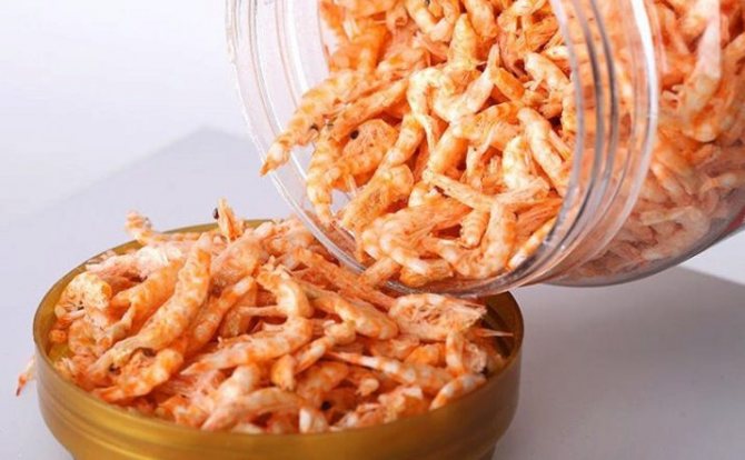 Мясо криля: что это такое и как его приготовить?